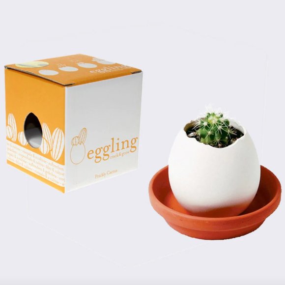 Anthropologie | NWT Eggling Grow Kits, Set of 3 - Picture 6 of 14